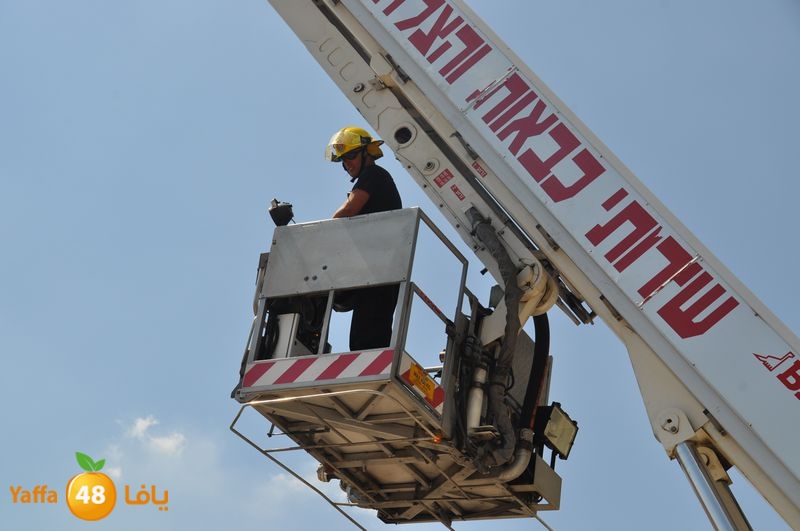 cat lud 910 (21).JPG